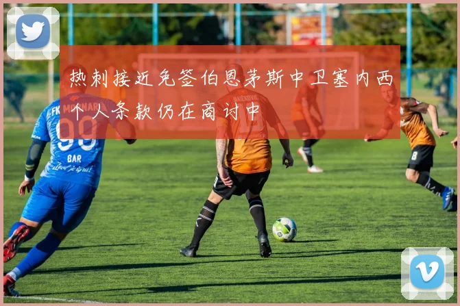 热刺接近免签伯恩茅斯中卫塞内西个人条款仍在商讨中